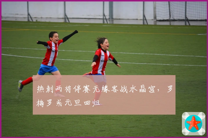 热刺两将停赛无缘客战水晶宫，罗梅罗或元旦回归