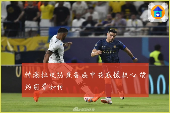 特谢拉攻防兼备成申花威慑核心 续约前景如何