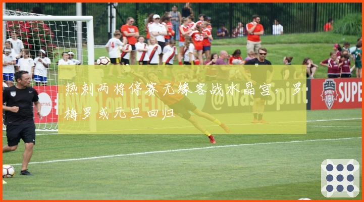 热刺两将停赛无缘客战水晶宫，罗梅罗或元旦回归