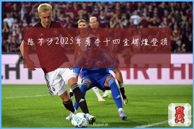 陈芋汐2025年勇夺十四金辉煌登顶